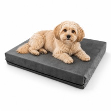 Cargar imagen en el visor de la galería, Colchoneta Mascotas Perros, raza pequeña 50cmx70cmX 9cm

